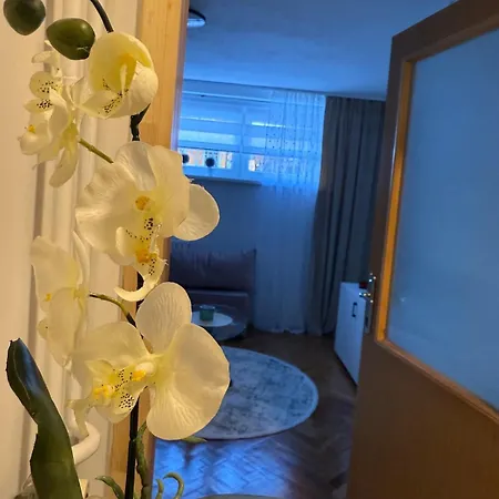 Tihi Kutak Apartment *