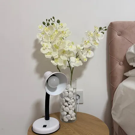 Tihi Kutak Apartamento